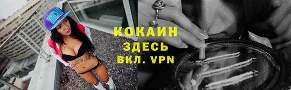 бошки Белокуриха