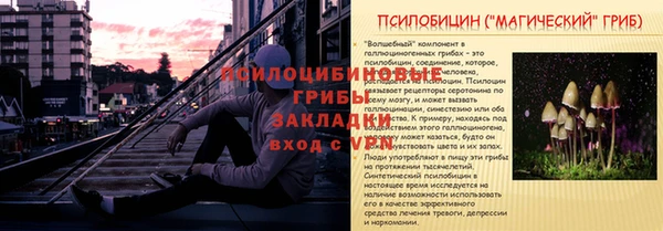 гидра Белоозёрский